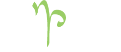 Nicole Pattenden Landscape Design